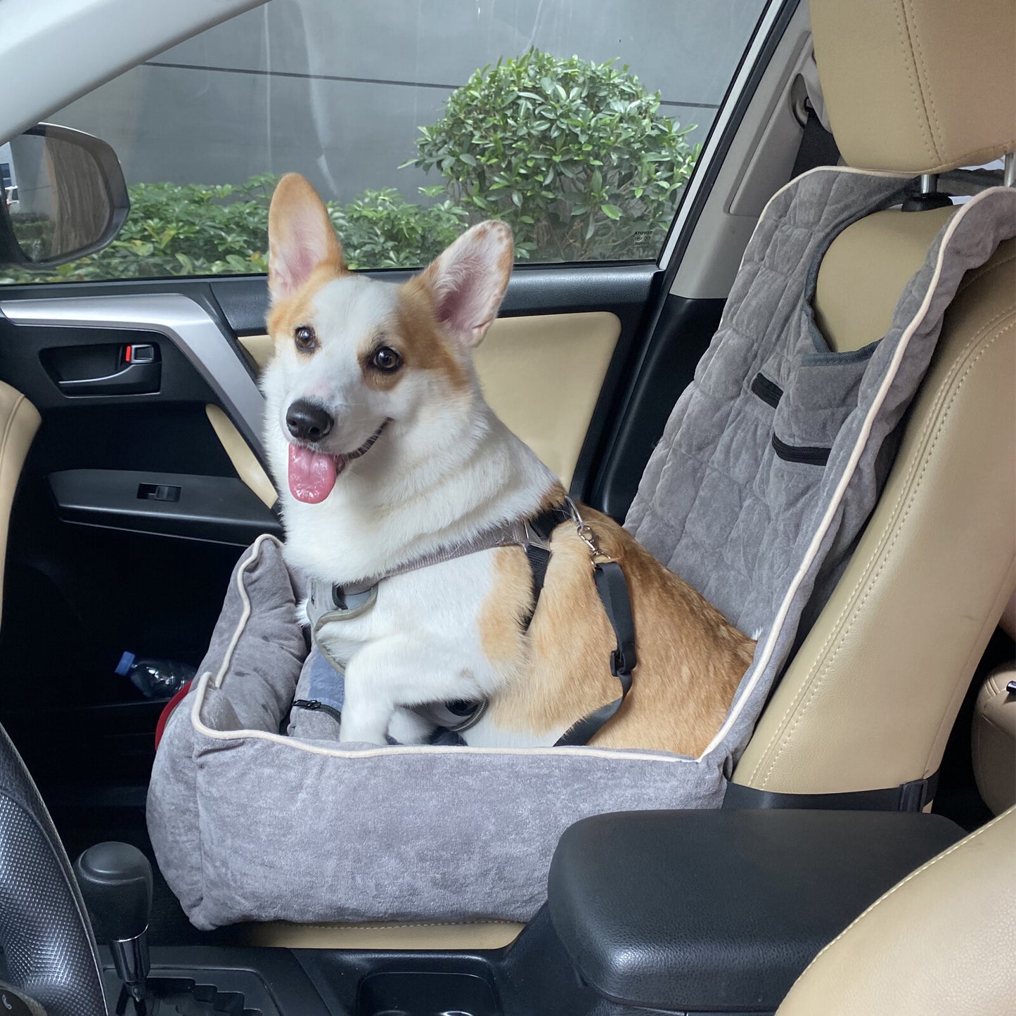 Bingopaw Travel Dog Puppy Car Seat Bed Pet Carrier Booster Protector Dog Cuddle