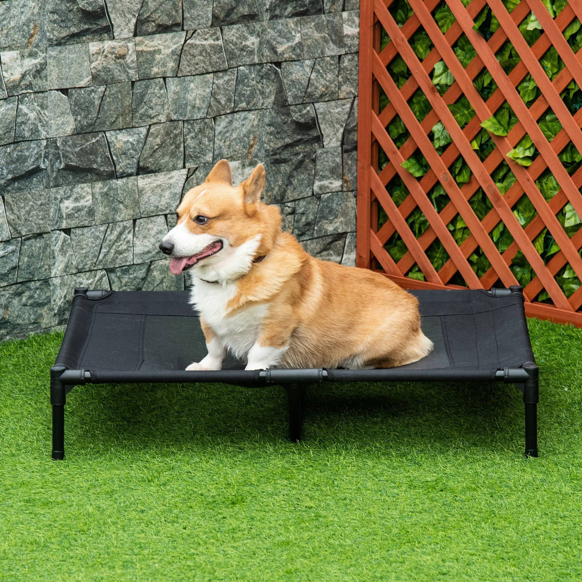 Pawhut Large Pet Cot Portable Dog Cat Sleep Bed Elevated Camping Outdoor Black