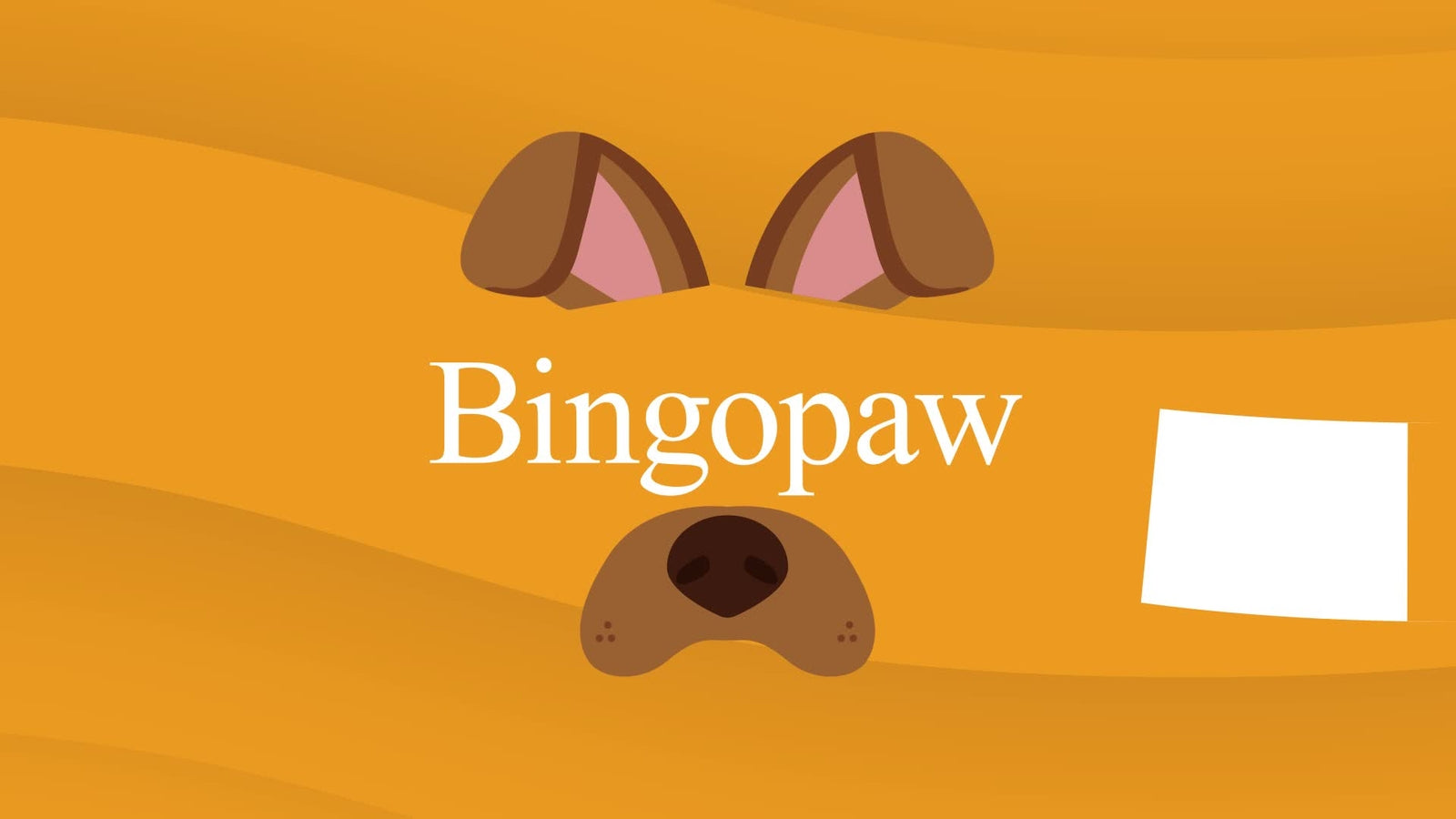 Bingopaw Travel Dog Puppy Car Seat Bed Pet Carrier Booster Protector Dog Cuddle