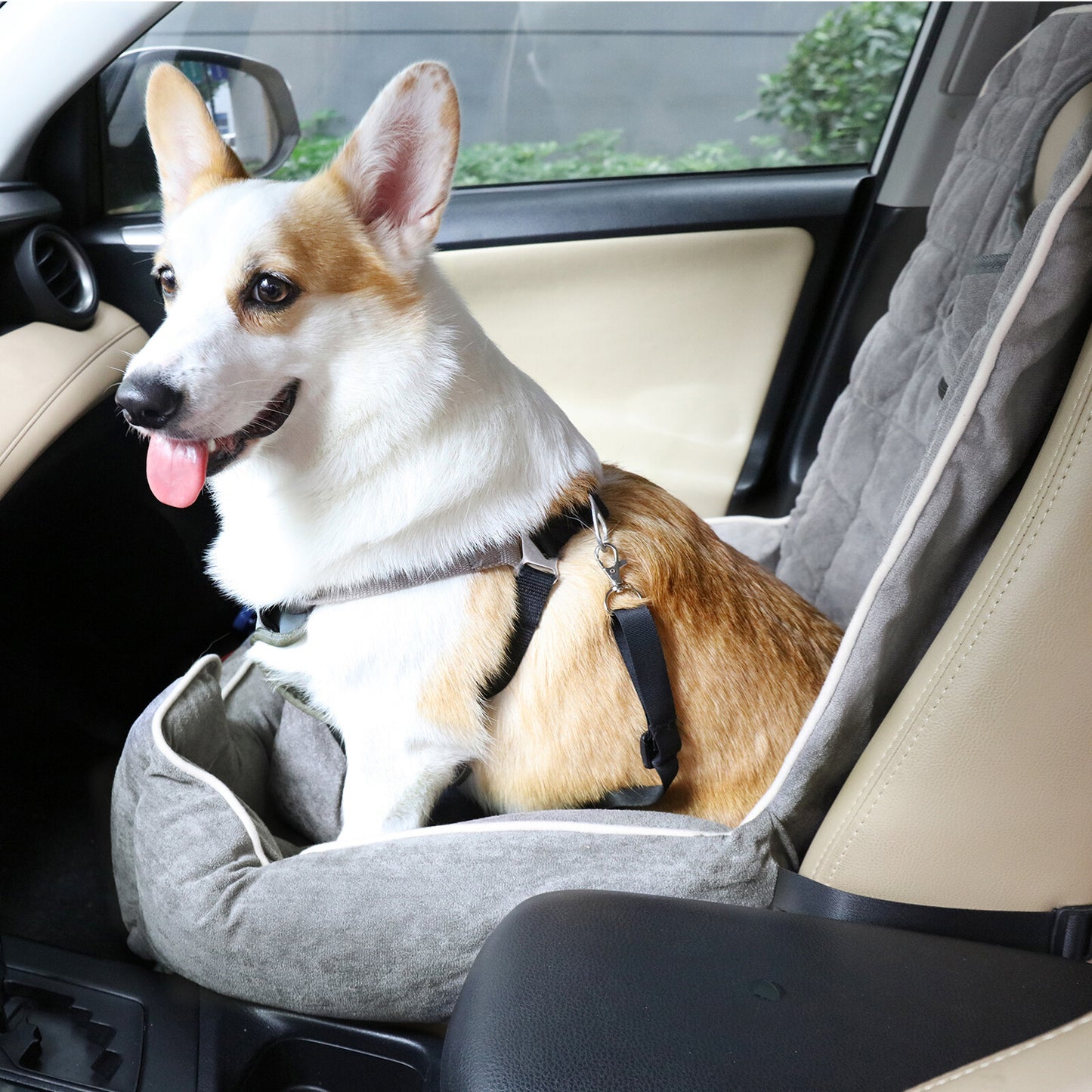 Bingopaw Travel Dog Puppy Car Seat Bed Pet Carrier Booster Protector Dog Cuddle